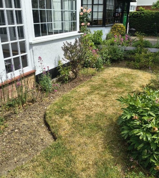 Front lawn after cutting and edging